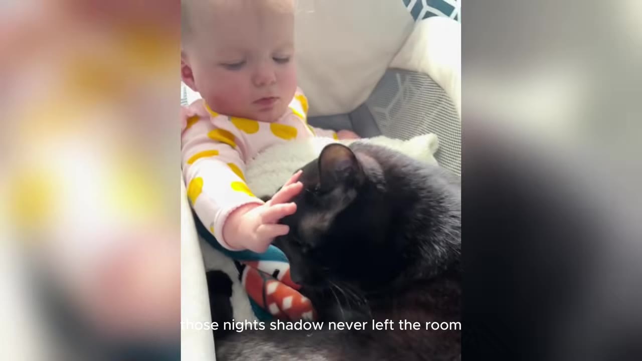 A baby girl in a pink and yellow patterned shirt reaches out her hand to gently touch the head of a black cat sitting beside her.