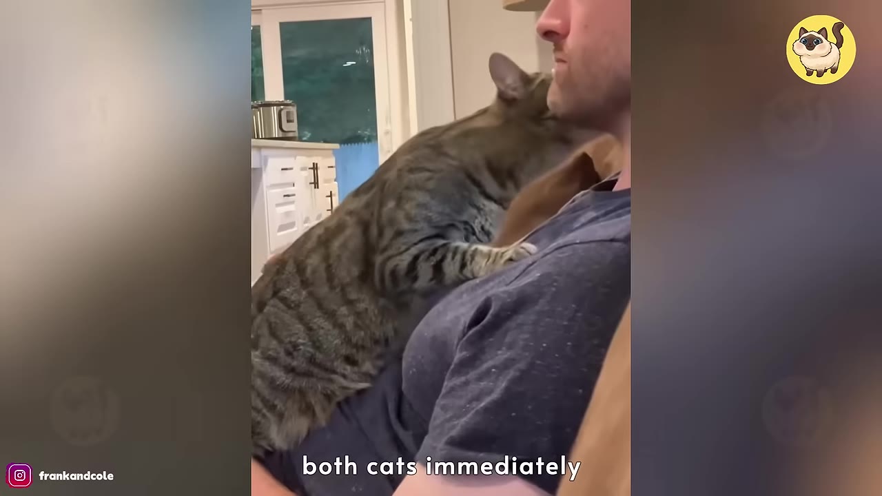 A tabby cat stretches up to rub its face against a man's chin and beard.