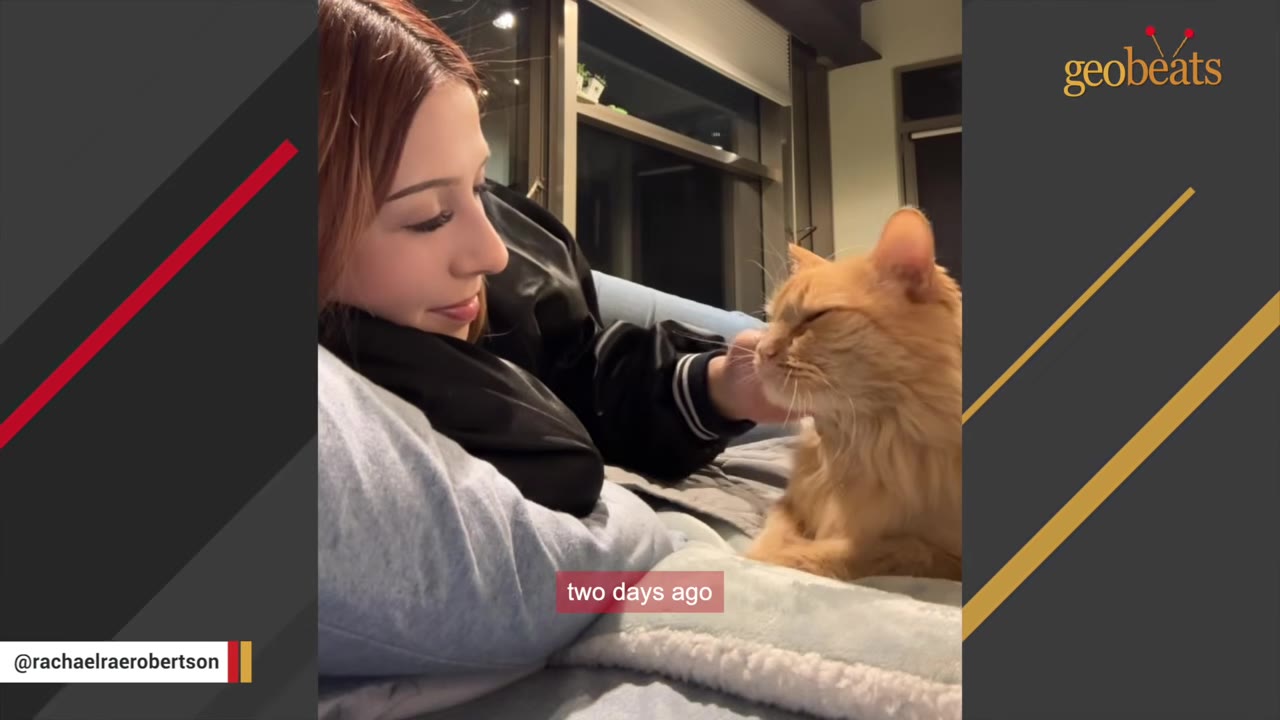 A smiling woman with reddish-brown hair lies on a bed, gently petting a fluffy orange cat that is sitting close to her.
