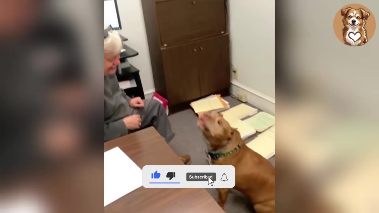 A brown dog sits on an office floor, looking up and vocalizing towards an older man with white hair who is sitting at a desk and smiling down at the dog.