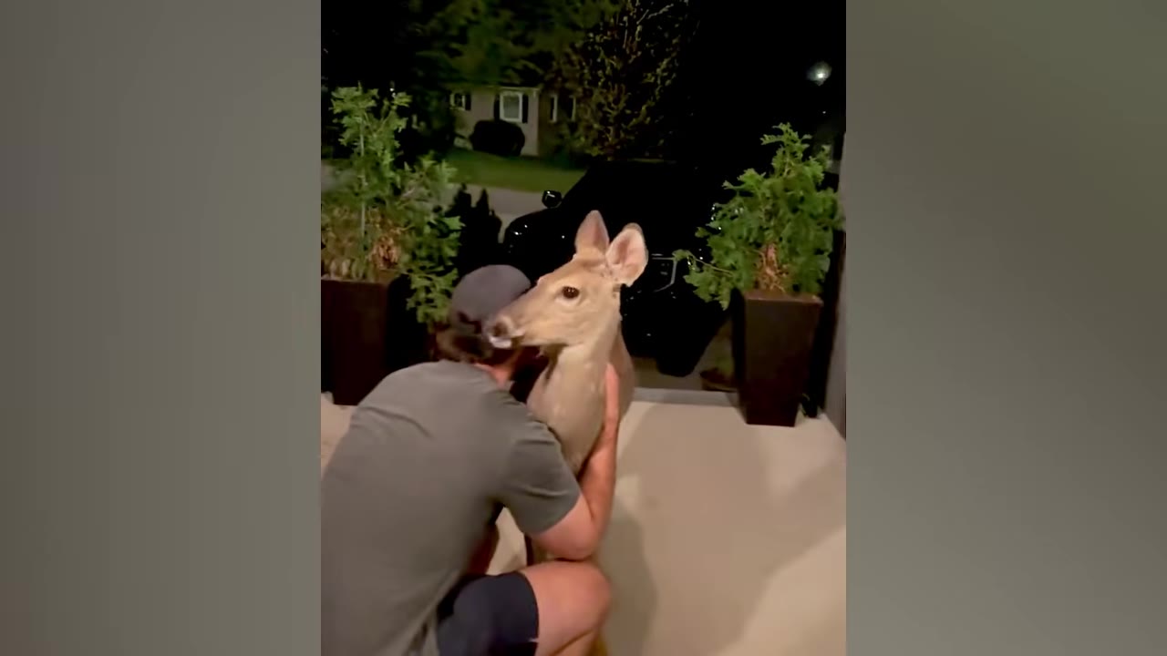 A man kneeling on a porch at night, warmly hugging a deer that has returned to visit him.
