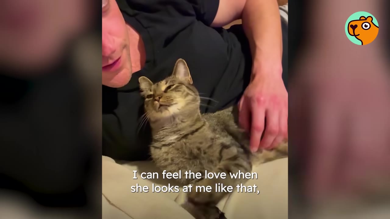 A tabby cat lies on her back on a man's chest, looking up at him with squinted, affectionate eyes as he gently pets her.
