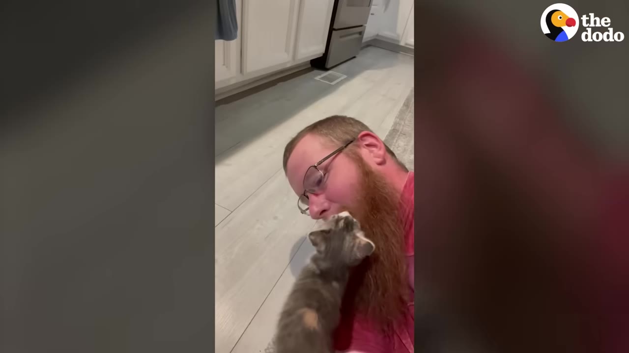 A man with glasses and a long red beard lies on the floor as a small grey and white kitten nuzzles his beard.