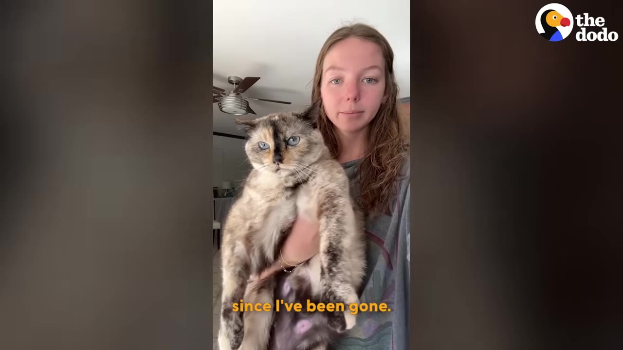 A young woman with long brown hair holds a large, fluffy tortoiseshell cat in her arms while looking at the camera.