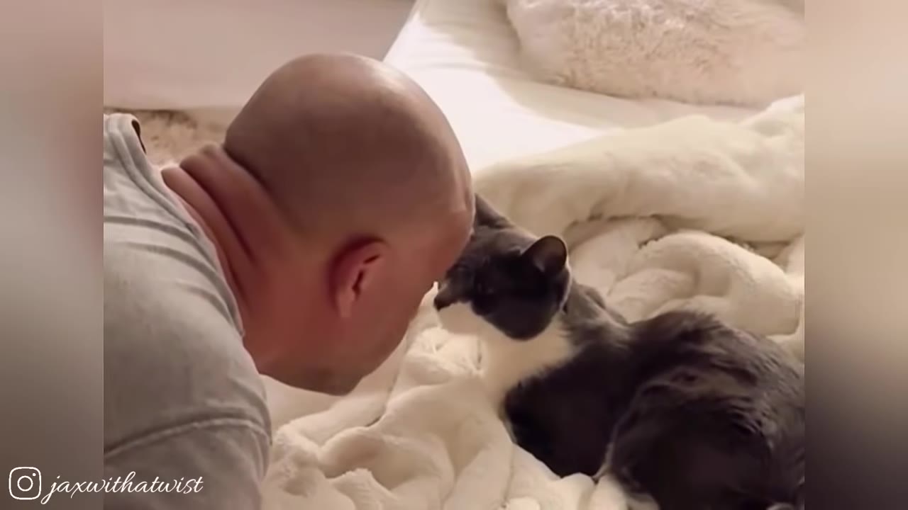 A bald man leans in close to touch his forehead to a black and white cat lying on a white blanketed bed.