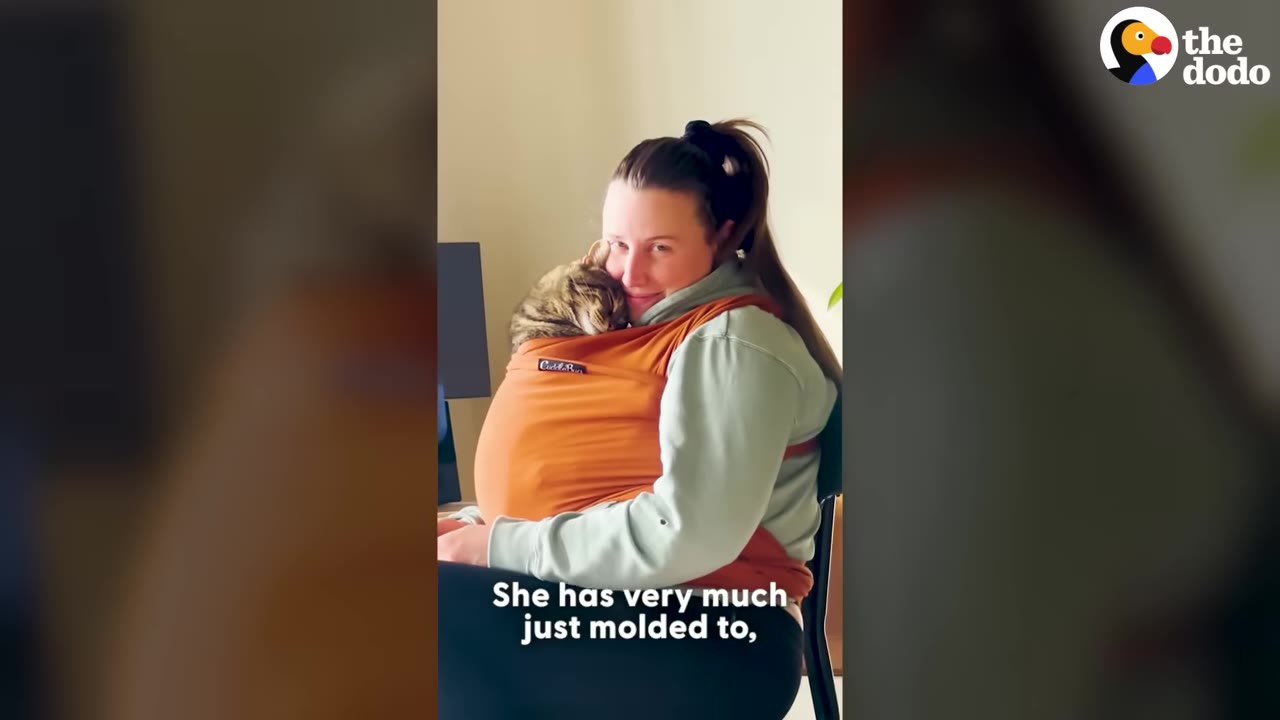 A woman sitting down with a tabby cat nestled comfortably inside an orange baby wrap carrier on her chest.