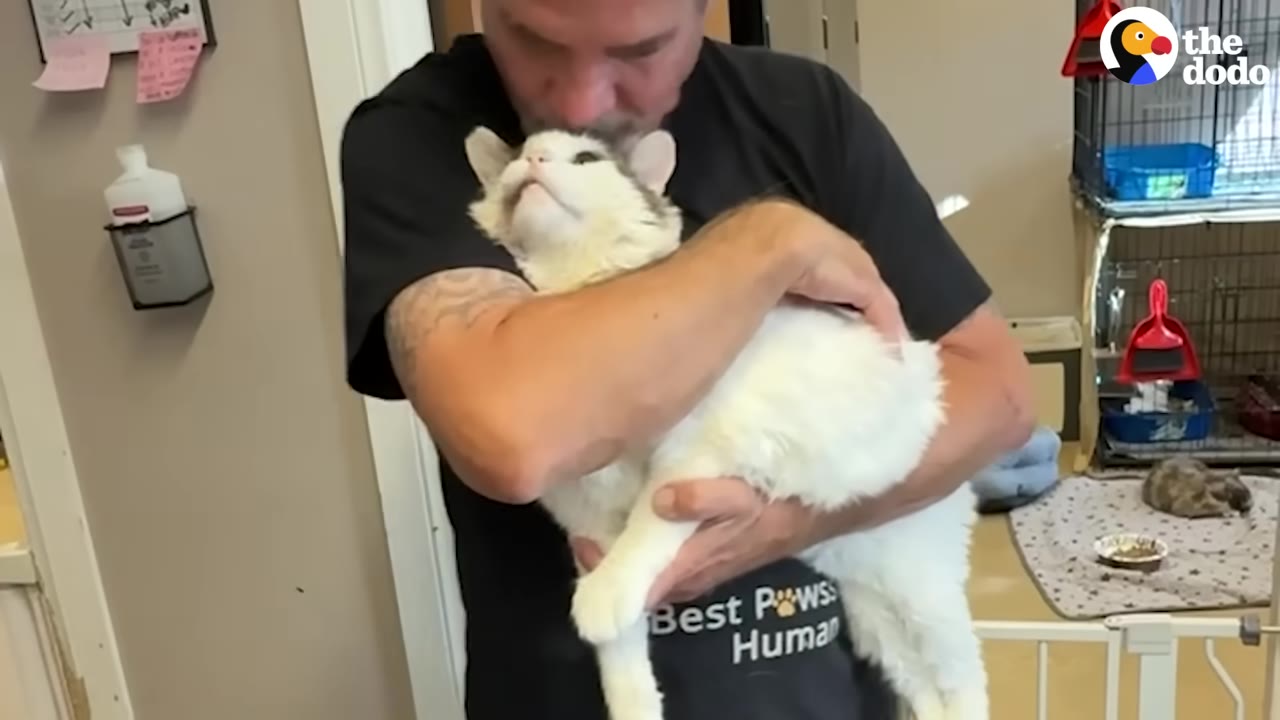 A man in a black t-shirt gently cradles a fluffy white and grey cat in his arms, kissing the top of the cat's head as the cat looks up affectionately.