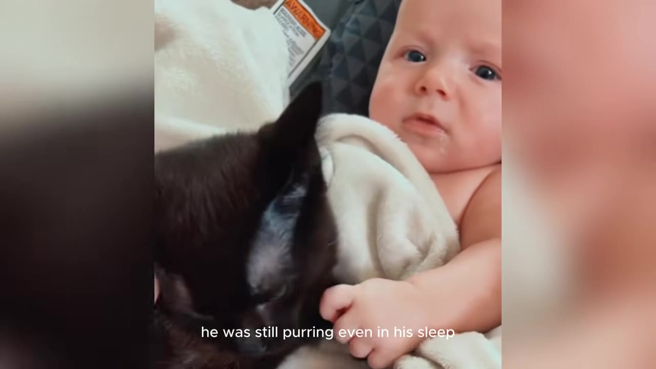 A close-up of a baby snuggled in a blanket next to a sleeping black cat.