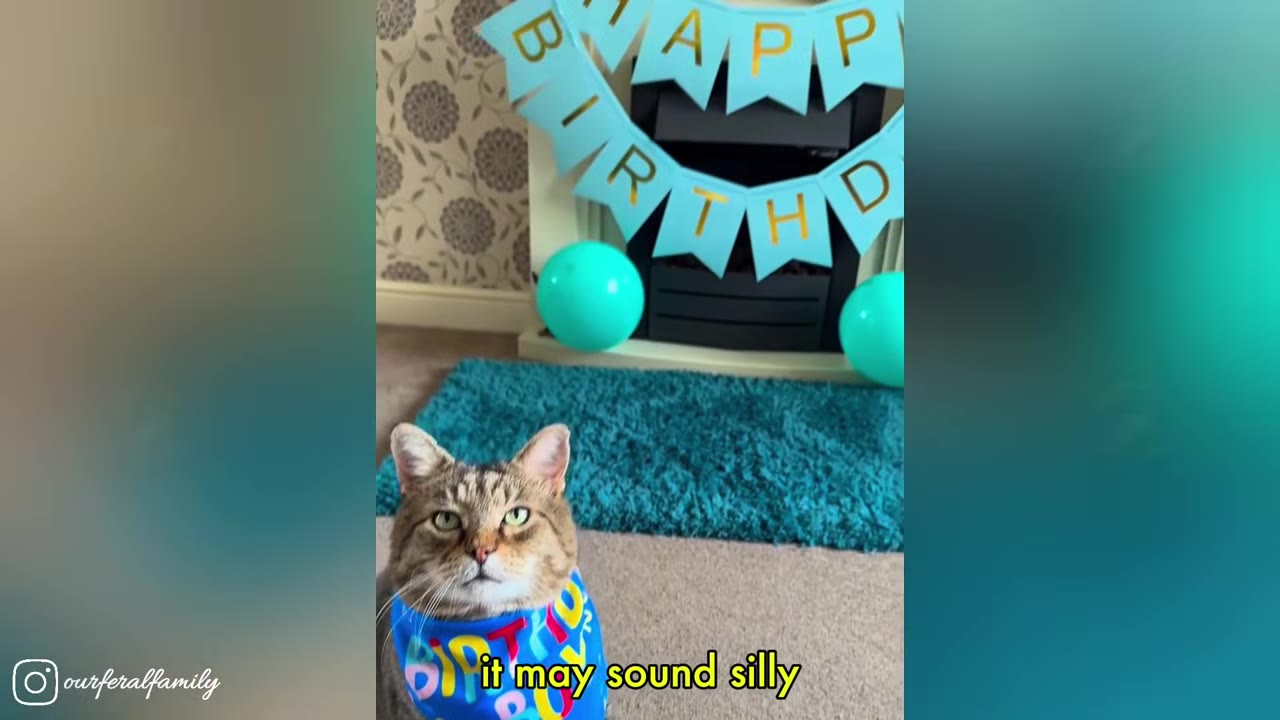 A brown tabby cat wearing a blue birthday bandana sits in front of a fireplace decorated with a blue 'HAPPY BIRTHDAY' banner and teal balloons.