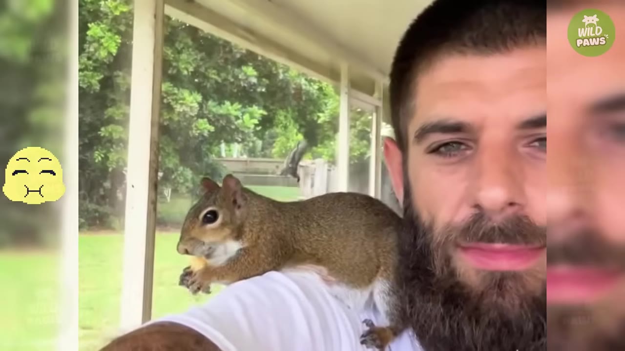 A close-up of a bearded man with a squirrel perched on his shoulder, eating a snack on a porch.