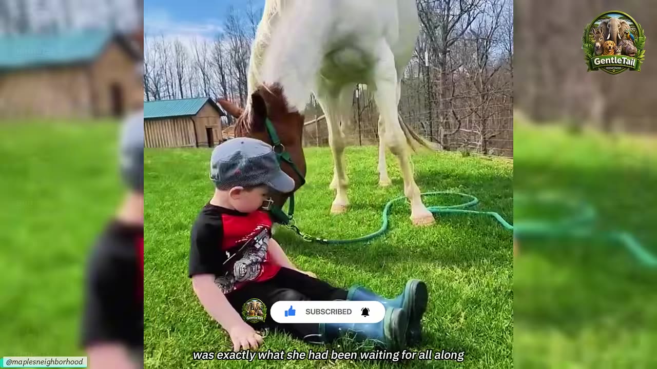 A young boy in a cap and boots sits on the green grass as a brown and white horse gently lowers its head toward him.