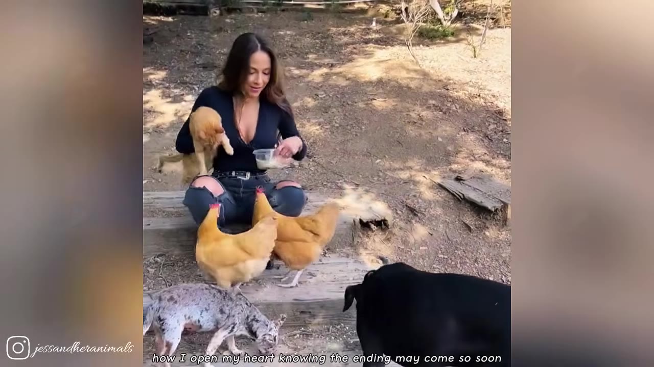 A woman sits outdoors on a wooden plank, holding an orange cat on her shoulder while surrounded by two chickens, a small spotted dog, and a black dog.