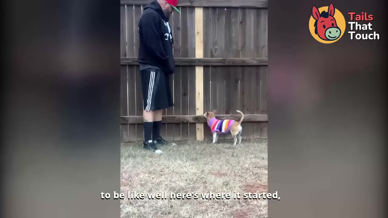 A man in a black hoodie and shorts stands next to a small dog wearing a colorful striped sweater, who is looking up at him with its tail raised in front of a wooden fence.