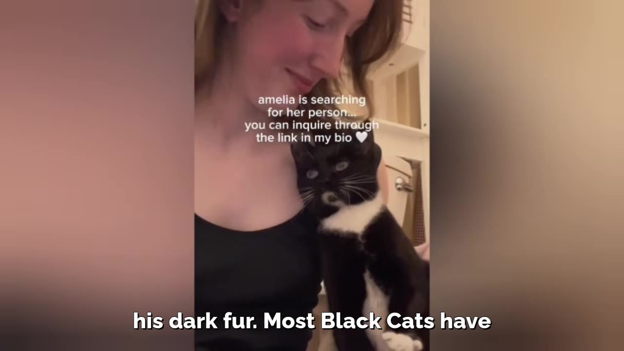 A black and white cat with striking eyes and a white patch on its chin is held by a smiling woman.
