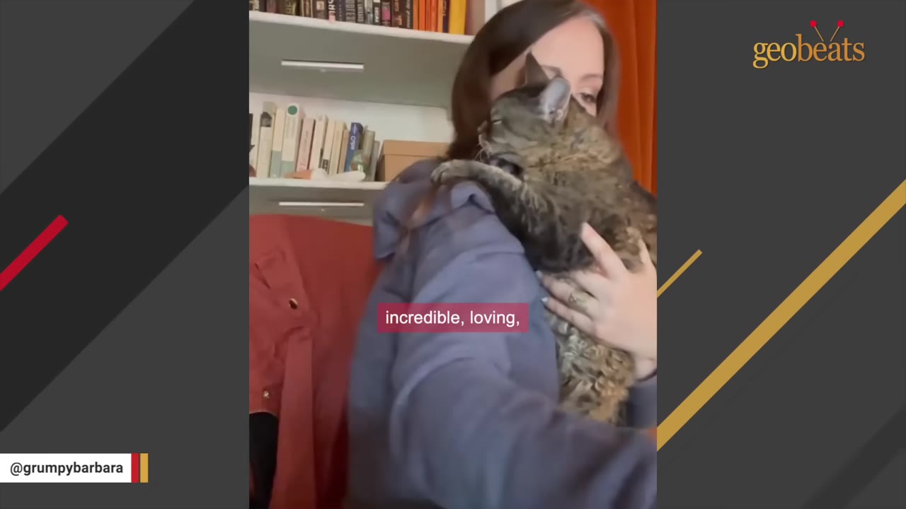 A woman in a blue hoodie holds a tabby cat close to her shoulder in a warm embrace.