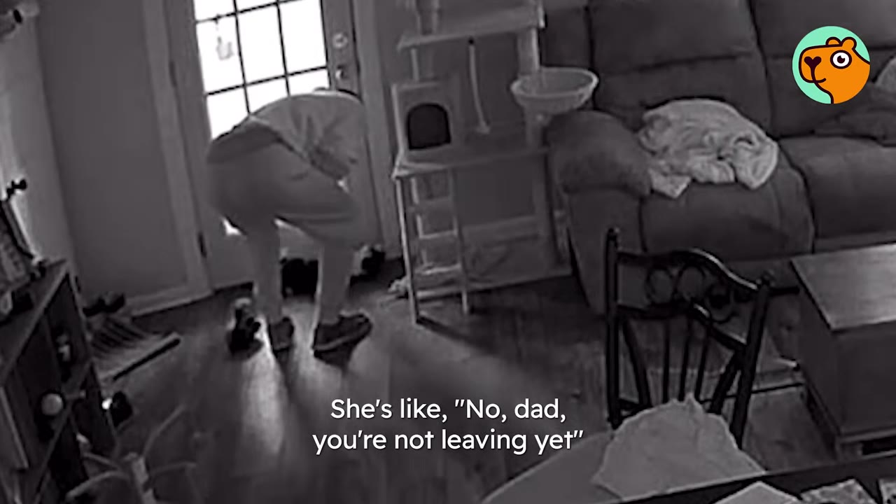 A black and white security camera frame showing a person bent over near the front door, interacting with a black and white cat on the floor next to a cat tree.