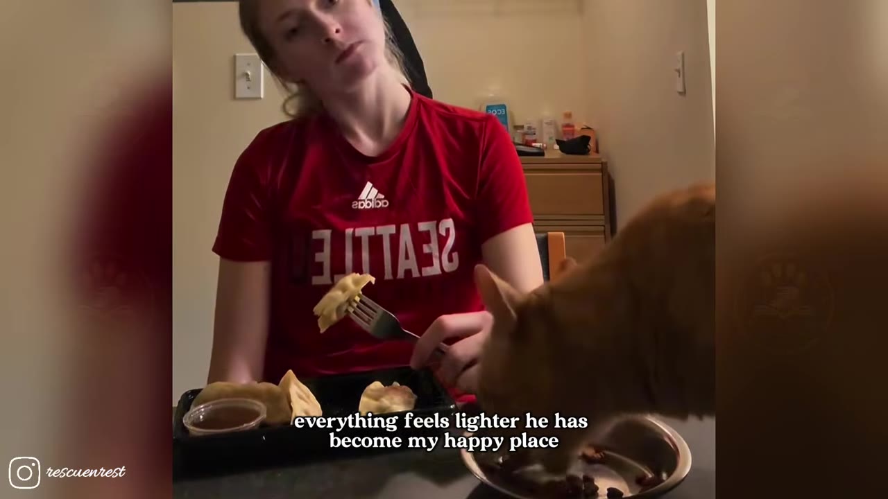 A woman in a red t-shirt sits at a table eating dumplings while an orange cat eats from a bowl next to her.