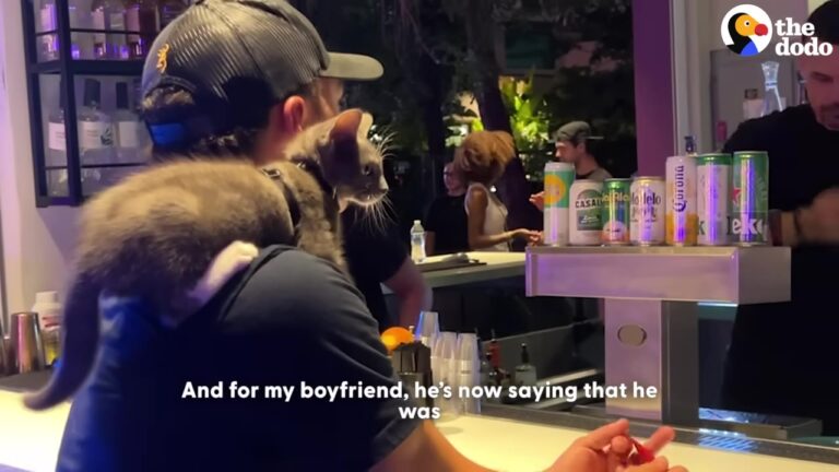 Florida Couple Hears A Tiny Cry In The Park And Discover A Surprise That Changes Their Family Forever