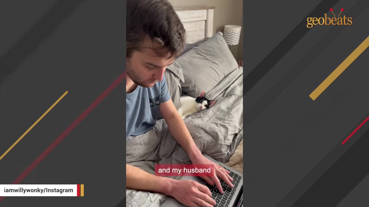 A man sits on a bed using a laptop while a black and white kitten lies nearby on the grey bedding.