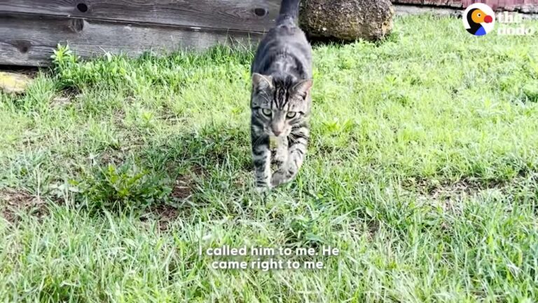 Connecticut Couple Moves Into Their New Home And Finds A Shivering Surprise Waiting In The Garden