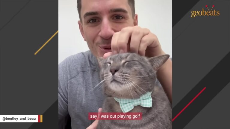 New Jersey Man Meets His Girlfriend’s Rescue Cat And Quickly Realizes Who Really Runs The House