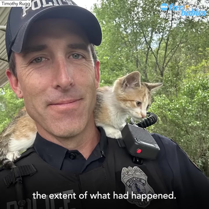 Virginia Rescuer Responds To A Cruelty Call And Finds A Shaking Cat Who Refuses To Let Him Go