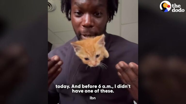 Georgia Man Finished His Shift And Found An Unexpected Birthday Gift Hiding In The Bushes