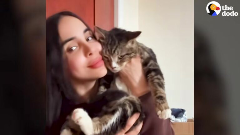 Rescuer Spots A Cat In NY Train Station, Then Realizes Some Fosters Are Meant To Stay