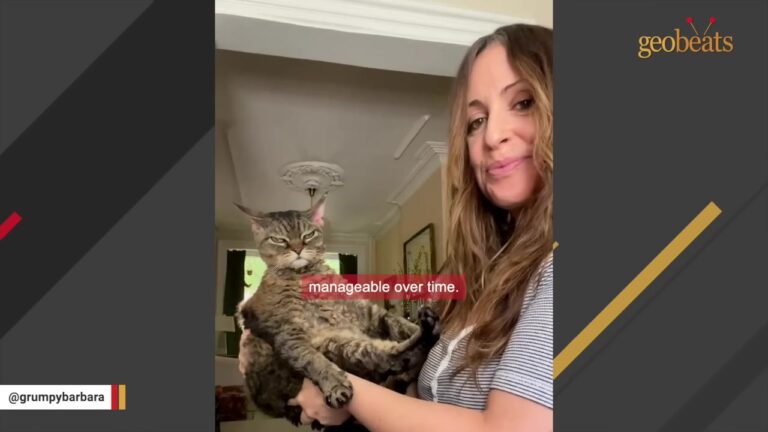New York Cat Lost Her Dad And Faced The Worst, Until A 3 AM Surprise Changed Everything