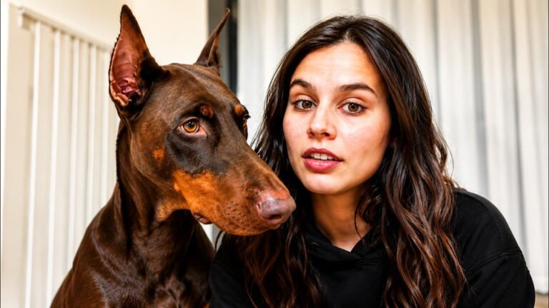 Colorado Woman Adopts Shelter’s Most Intimidating Dog, Then Her Camera Catches His Midnight Secret