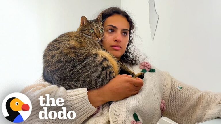 California Woman Fosters A Kitten For The Weekend, But It Turns Into A Beautiful 5-Year Lifeline