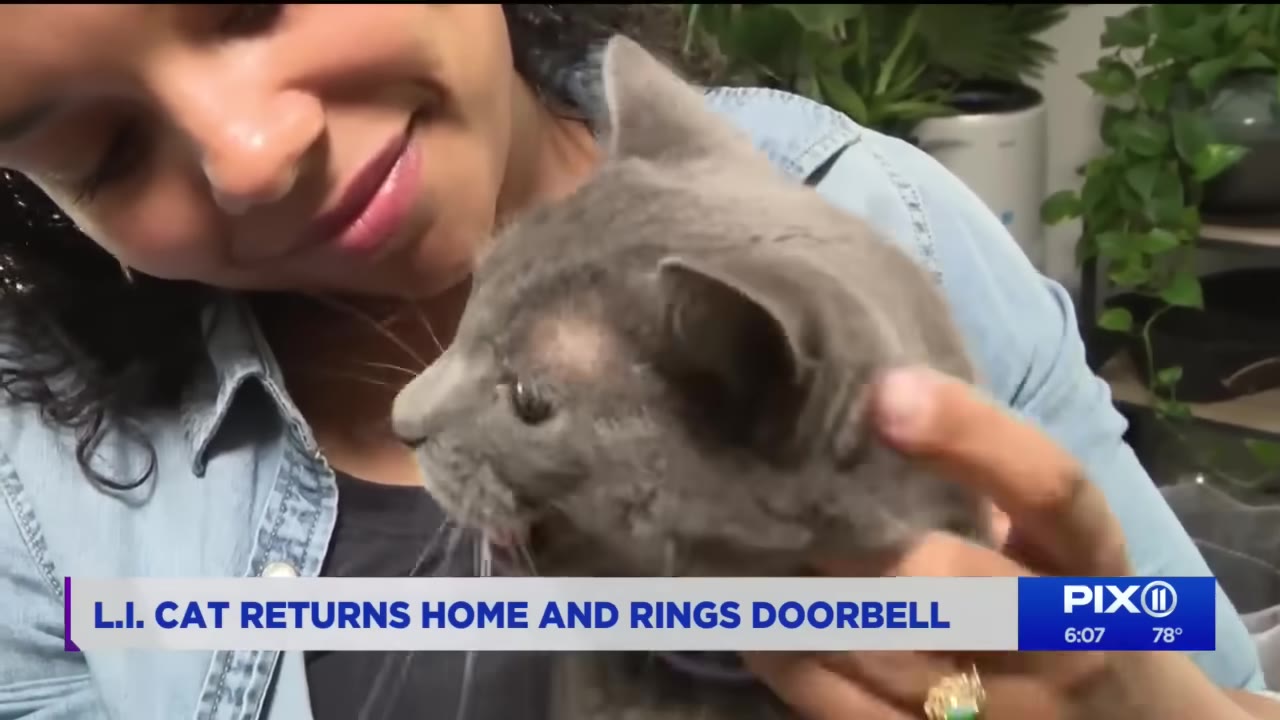 A woman smiles warmly as she holds a grey cat close to her face.