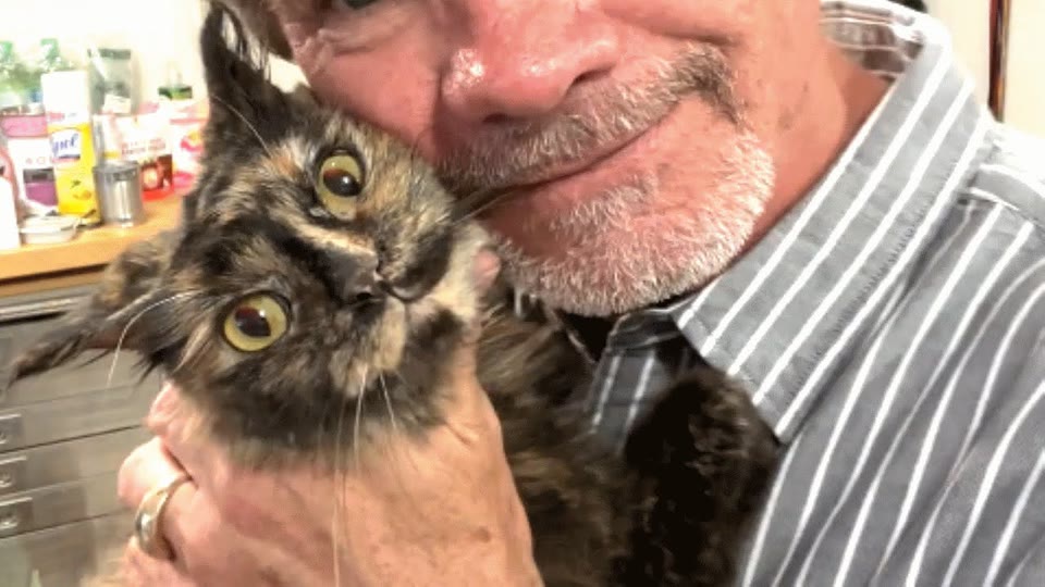 Video frame for A Cry For Help On Social Media