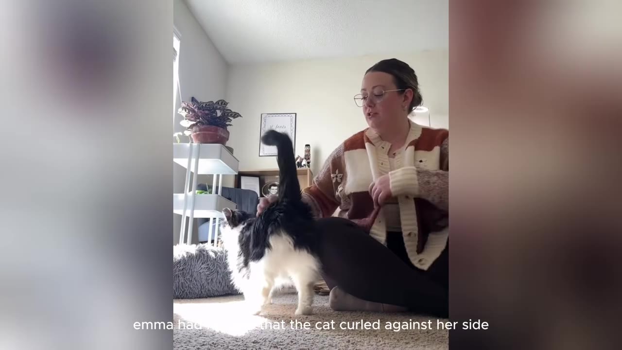 A woman with glasses and a patterned cardigan sits on the floor, gently petting a fluffy black and white cat standing beside her.
