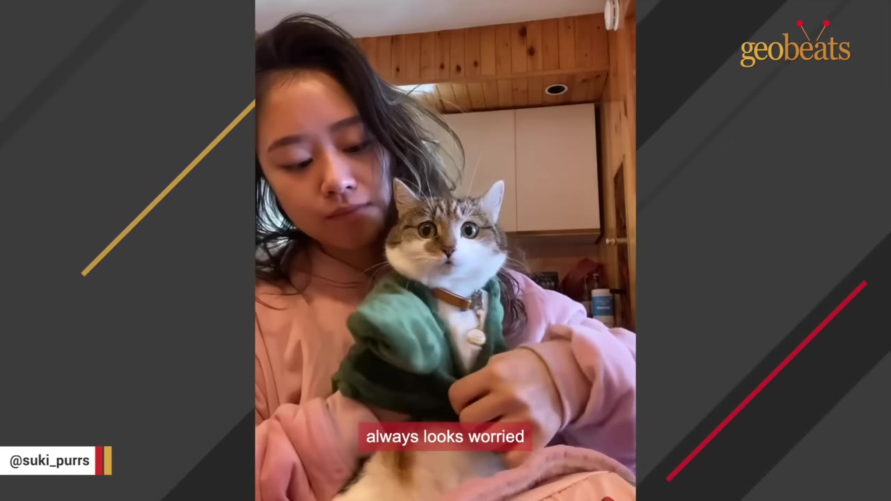 A woman in a pink sweatshirt holds a tabby and white cat wearing a small green jacket, who is looking directly at the camera with wide, worried-looking eyes.