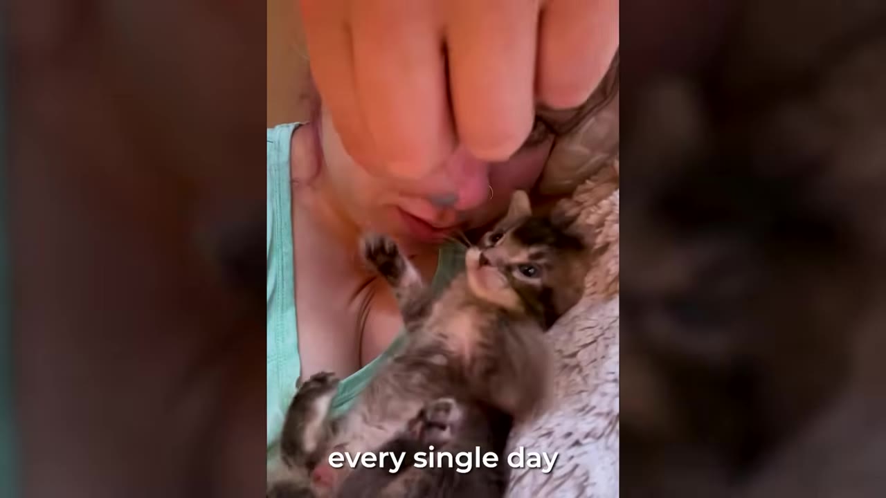 A close-up of a woman gently holding a tiny tabby kitten close to her face as it lies on its back.