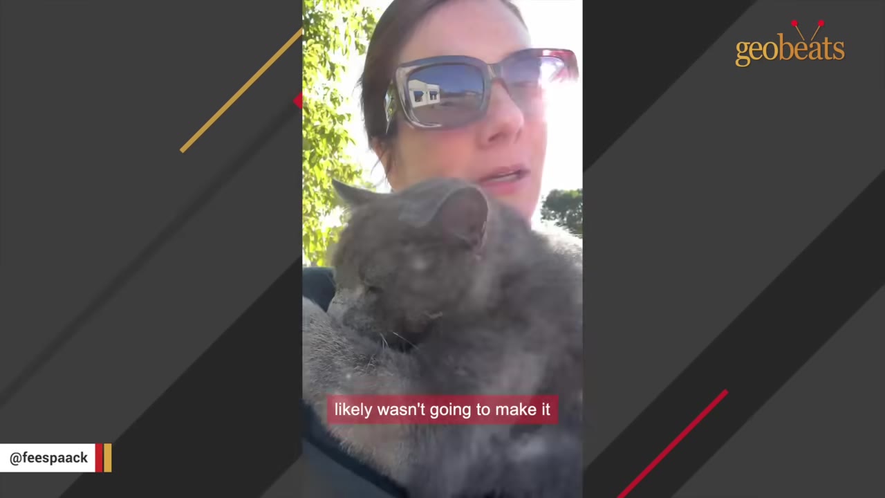 A woman wearing sunglasses holds a grey cat close to her chest outdoors.