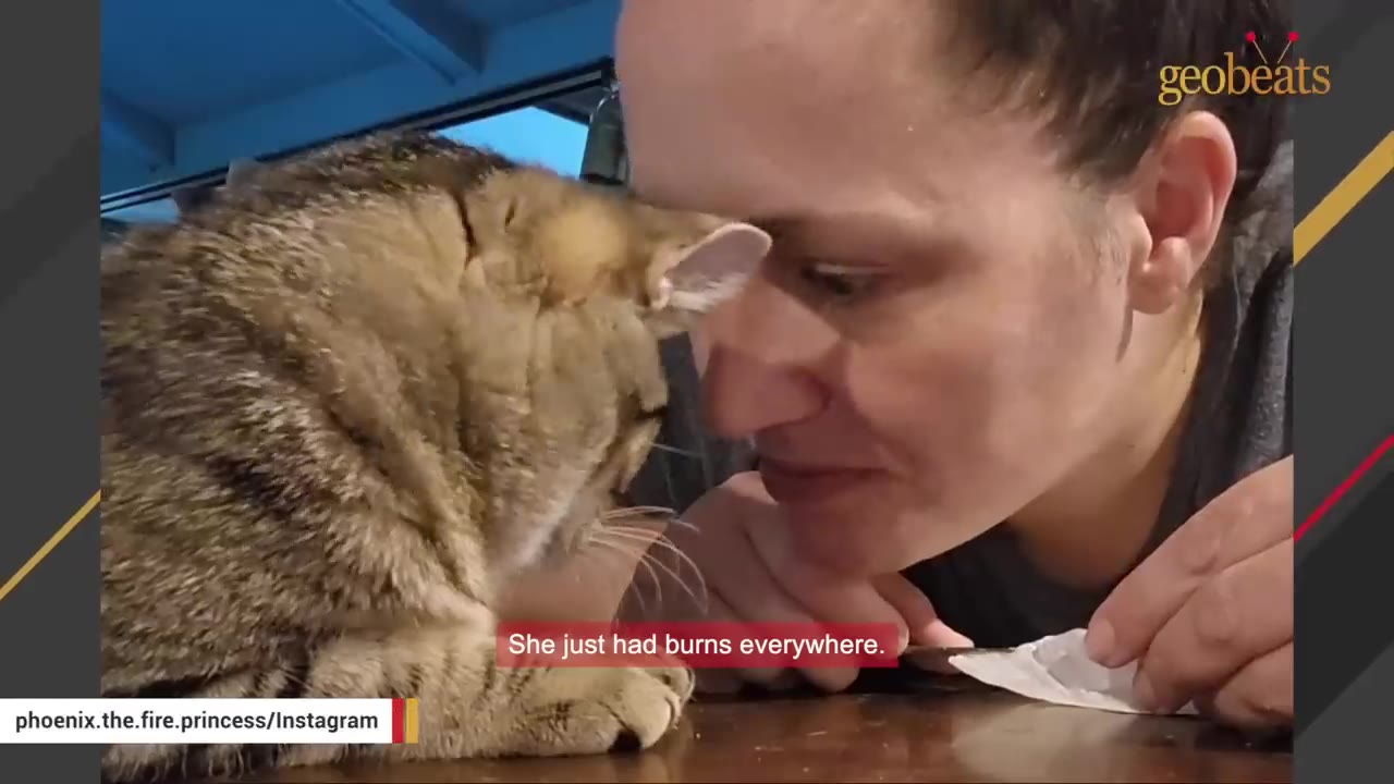 A close-up of a tabby cat leaning its head against a woman's forehead, with a caption reading 'She just had burns everywhere.'