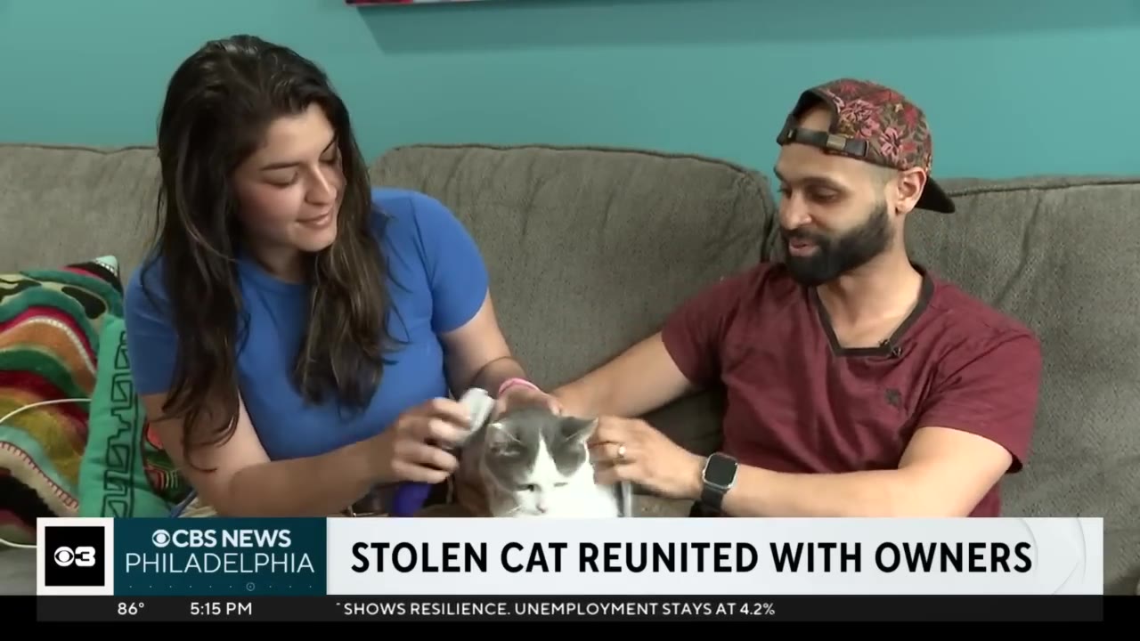 A man and a woman sit on a couch smiling as they pet and brush their white and gray cat.