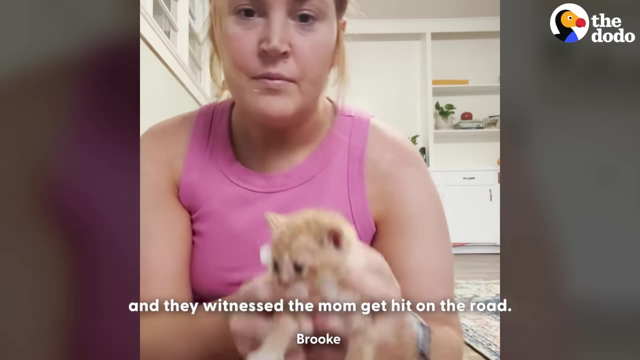 A woman in a pink tank top holds a tiny, fragile orange kitten in her hands with a concerned expression.