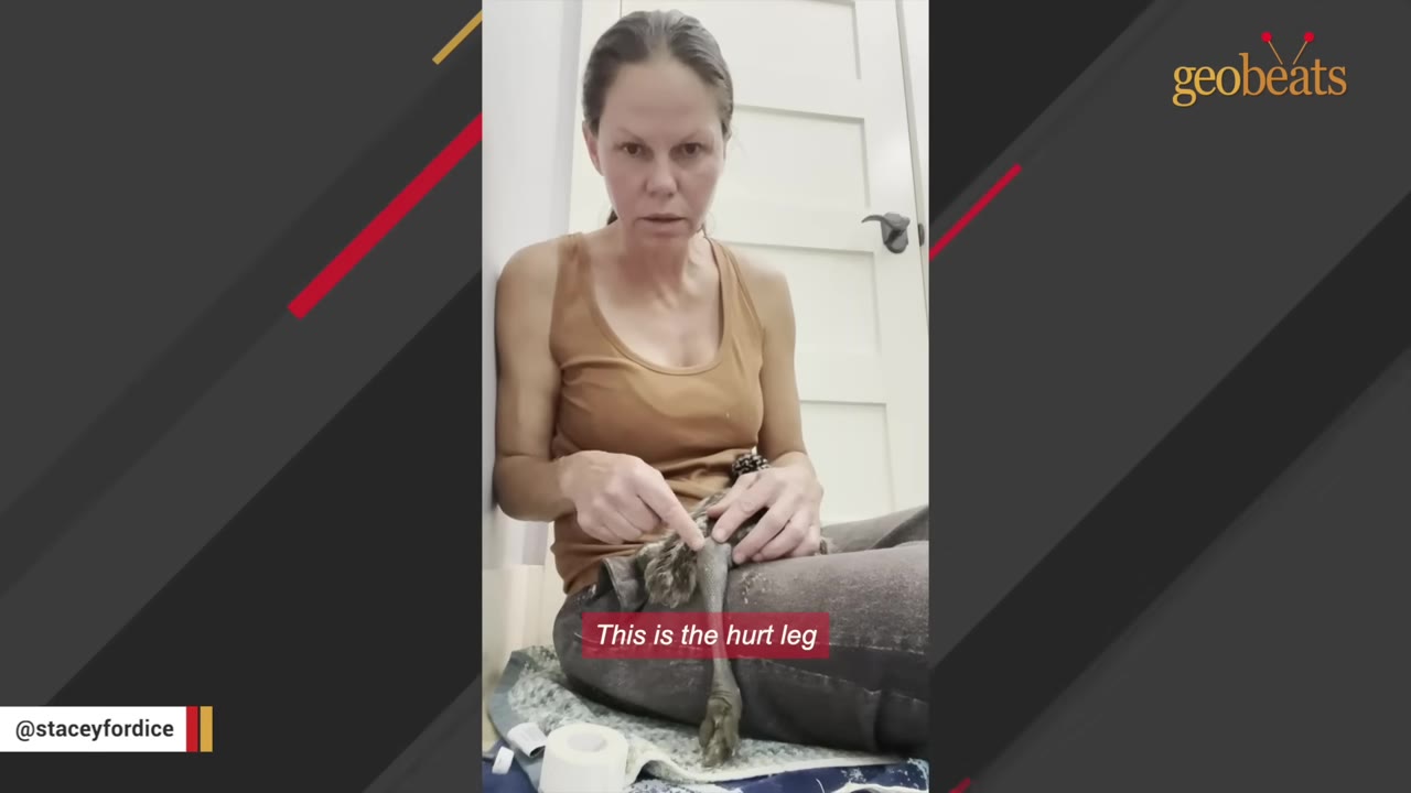 A woman sits on the floor holding a baby emu in her lap, pointing directly to its thin, injured leg.