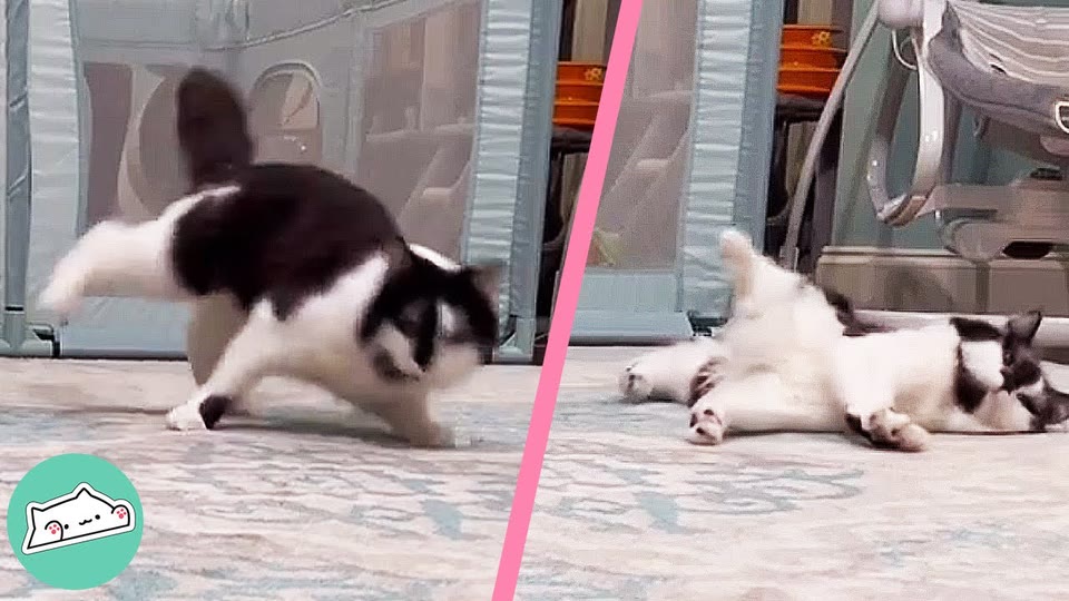 Video frame for A Joyful Spirit In A Wobbly Body