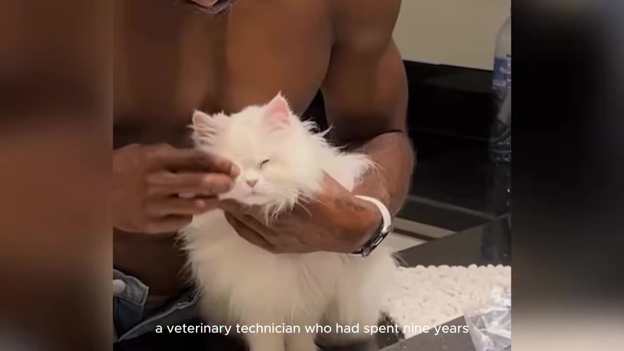 A close-up of a person gently holding a fluffy white kitten, with subtitle text reading 'a veterinary technician who had spent nine years'.