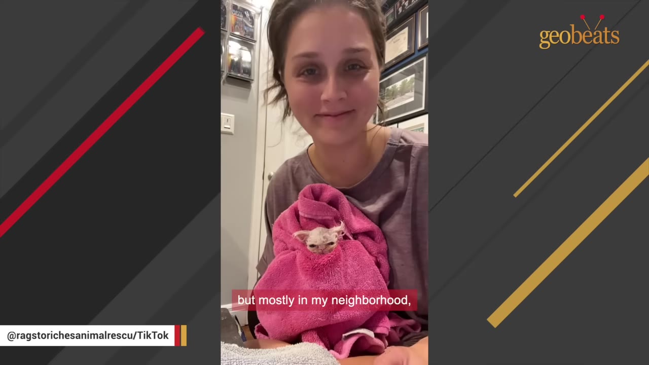 A smiling woman holds a tiny, wet kitten wrapped in a pink towel.