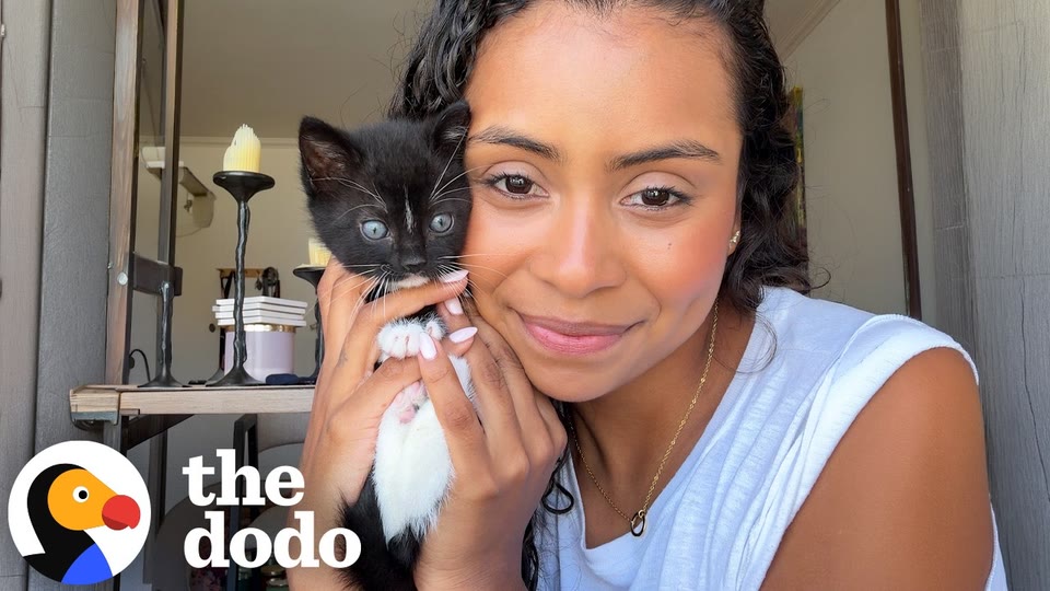 Video frame for A New Kind Of Foster Journey