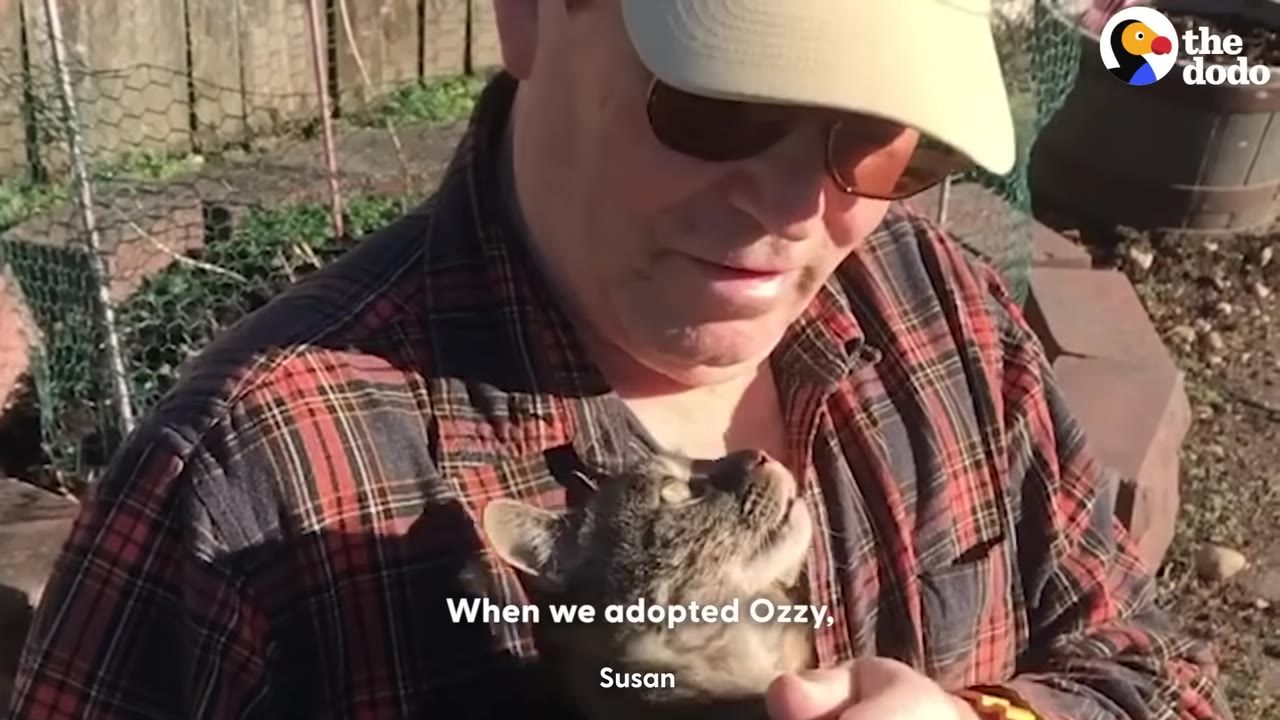 A man wearing a plaid shirt, sunglasses, and a baseball cap holds a small tabby cat close to his chest outdoors.