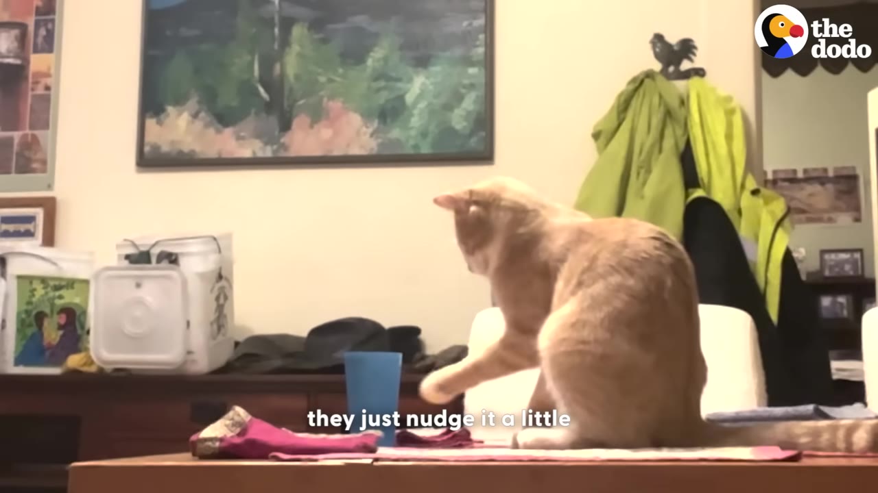 An orange tabby cat sits on a wooden table and nudges a blue plastic cup with its paw.