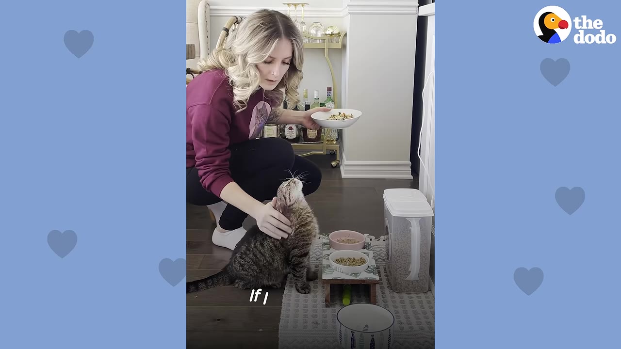 A woman in a maroon sweatshirt kneels on the floor, petting a tabby cat who looks up at her expectantly while she holds a bowl of food.