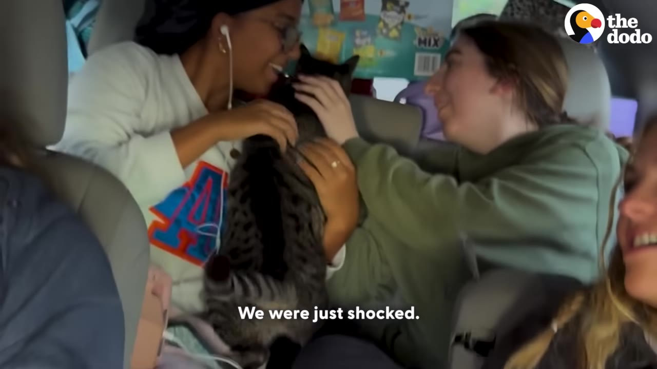 Two young women inside a packed car holding a tabby cat and smiling with surprised expressions.