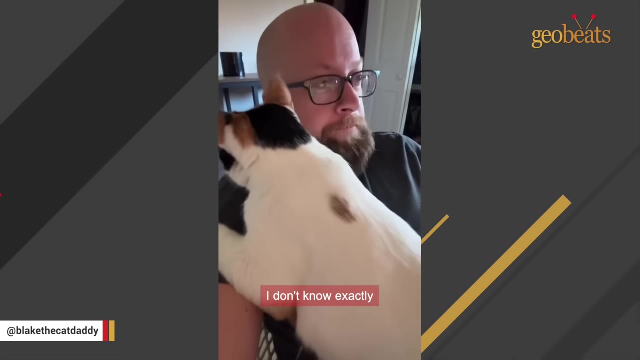 A calico cat clings closely to a bald man with glasses and a beard, looking over his shoulder.